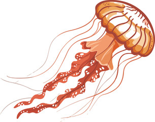 jellyfish vector illustration featuring a detailed bell and flowing tentacles for marine biology and aquarium branding, © Md