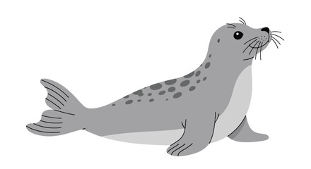 Cute Cartoon Seal Illustration on White Background. © Pasni