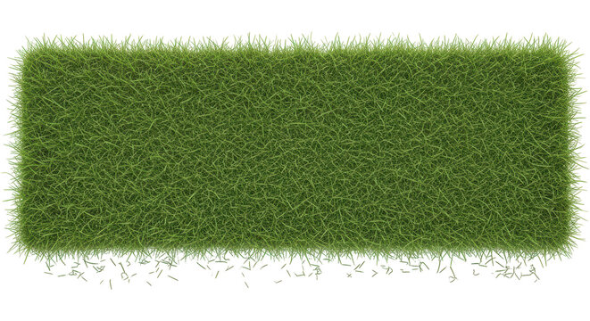 Lush Green Grass Background for Nature and Outdoor Themes