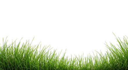 Obraz premium Lush Green Grass Background for Nature and Outdoor Themes