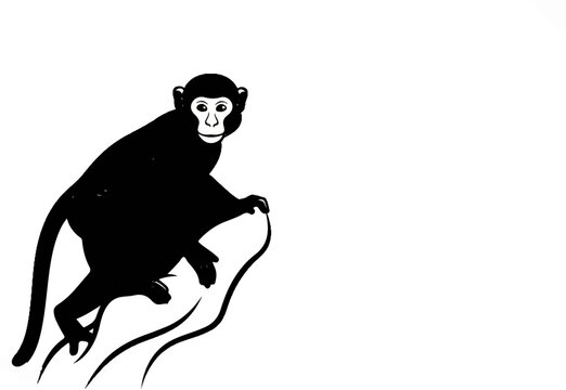 A black silhouette of a monkey with white facial features sits on a branch