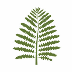 A green fern frond with symmetrically arranged serrated leaflets is designed in a simple flat style.