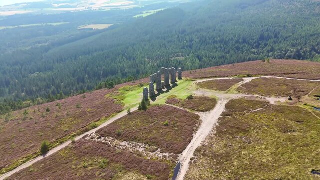 Aerial Cinematic View of Fyrish Monument Surrounded by Purple Blooming Heather in the Scottish Highlands.