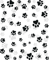 Obraz premium Paw Prints Background. Cute pets and Dogs pets paw print isolated on white background.