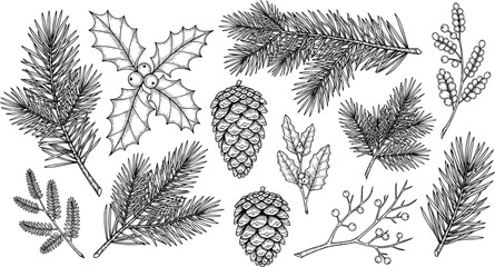 Vintage Christmas Botanical Elements Pine Branches Holly Leaves Cones and Winter Plants Engraving Vector Illustration © EdGe Creative