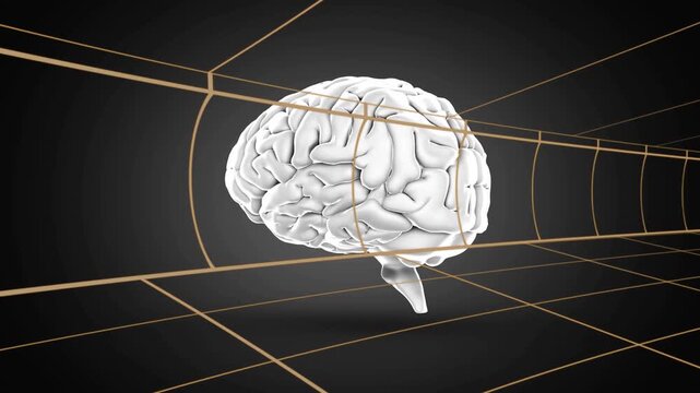 Rotating white 3D brain model with brainstem hovering in dark studio, wireframe tunnel shadow