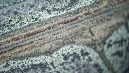 Naklejka premium Macro thin section of unique tinguaite from Khibiny. Polished surface shows violet aegirine zones, light green nepheline matrix, lilac fluorite, and rare spotted-bubbly texture. Field of view 15 mm