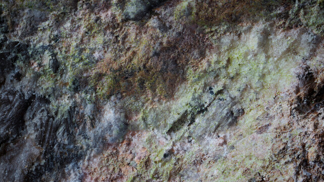 Macro image of biological film on silicate minerals from the vicinity of Aykuayvenchorr Mt., Khibiny obtained by optical focus stacking via microscope objective at 4&times; magnification