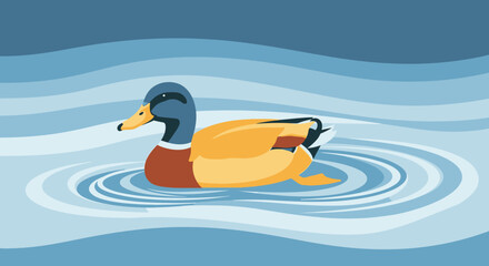 Obraz premium Mallard duck swimming in calm water with artistic render