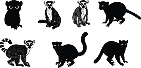 Lemur illustrations, stylized poses, black silhouette, ring-tailed detail, expressive eyes, cartoon primate, vector art, animal design, character set © TAHASINANJUM