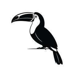 Fototapeta premium A striking black and white illustration of a toucan in profile