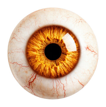 PNG Vibrant eye with fiery iris.