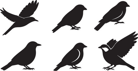 Obraz premium Blackbird Silhouette Vector Collection - Isolated Songbird Icons Set