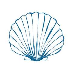 Seashell in doodle style. Sea snail shell in blue. Hand drawn vector outline illustration isolated on white background. © Anastasiia