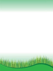 Obraz premium Green Grass. Grass isolated on white background, vector illustration