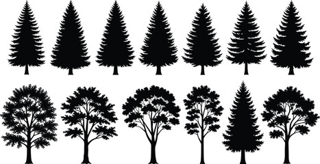 Tree silhouette illustration set, coniferous deciduous forest artwork, botanical nature vector drawing, landscape design concept © Fenshi