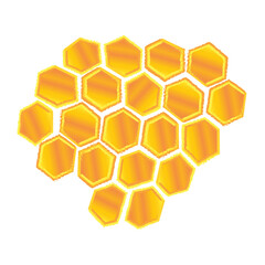 honeycomb and honey