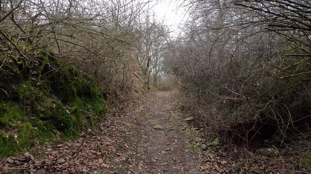 Walking along narrow forest path in late autumn woodland with bare trees