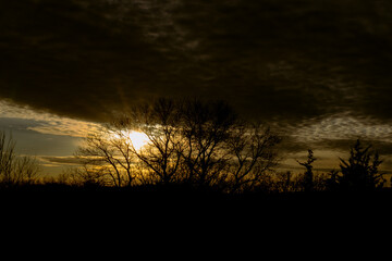 Sun rays shining through dark tree branches in Palisades State Park.