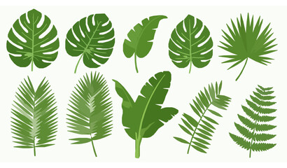Tropical Green Leaves Vector Collection for Botanical and Nature Designs © MstNadiya