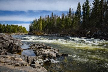A turbulent and fast river with large rocks on one bank and tall coniferous trees on the other bank in Siberia. © Сергей Гивиряк