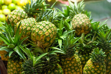 Obraz premium Lots of pineapple fruit for sale