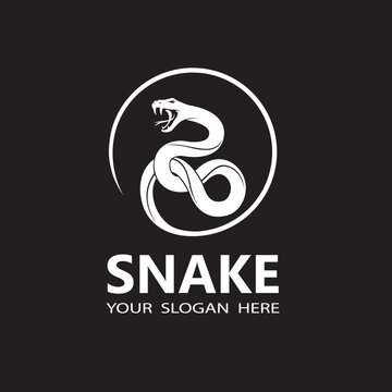illustration of white snake isolated on black background