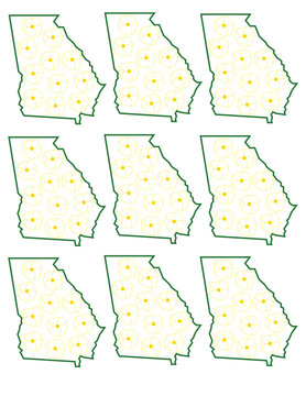 State of Georgia Flower Pattern Cherokee Rose