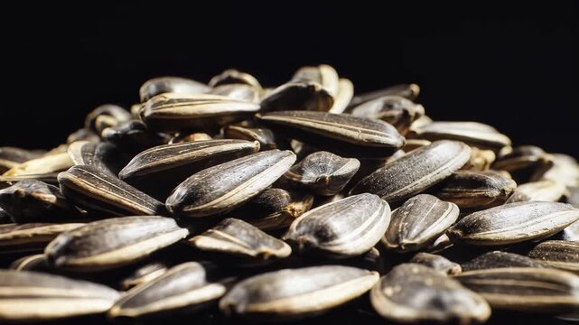 Close up of sunflower seeds on dark background highlighting texture and shape
