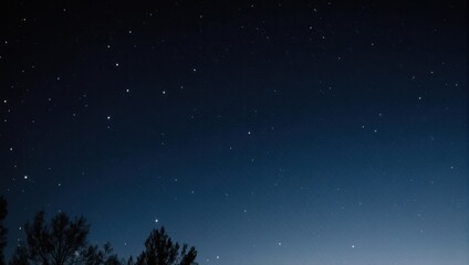 Night sky with scattered stars above trees. Gradient of dark blue to black, hints of a nebula