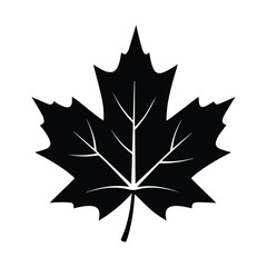 Fototapeta premium The iconic maple leaf symbol representing canadian national identity and heritage