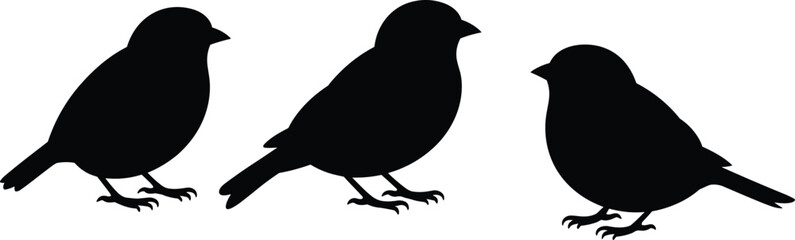 Small bird silhouettes vector set, black songbird standing poses collection, wildlife nature bird shapes isolated, flat vector illustration