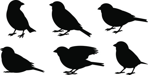Small bird silhouettes vector set, standing songbirds collection wildlife nature black bird shapes isolated design, flat vector illustration