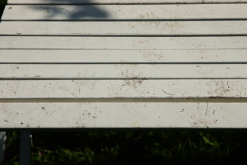 Dachsspuren auf weißer Bank © DieFro