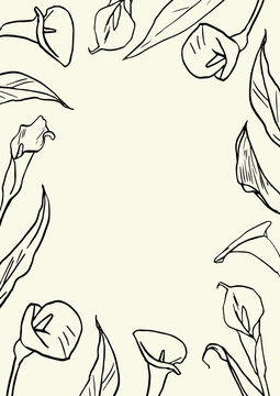 Hand drawn calla lily border frame, scattered callas with leaves on cream background, elegant botanical floral frame with empty center, line art black ink on ivory