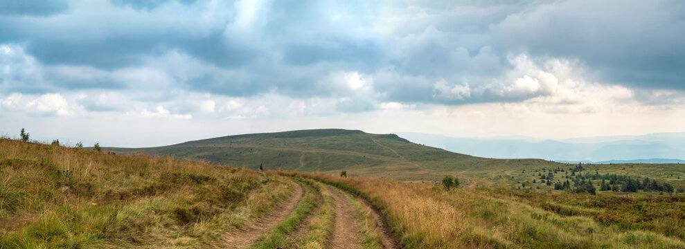 Panorama of a mountain meadow, wild polonina in the Ukrainian Carpathians in summer. Traces of truck tracks are visible in the grass