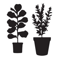 Fototapeta premium Silhouettes of potted fiddle leaf fig tree and indoor shrub plant