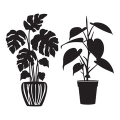 Potted monstera and tropical houseplant silhouettes vector design © Md Anamul
