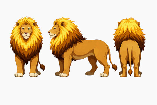 Cartoon lion character turnaround showing front side and back views with rich mane anatomy and clean white background for mascot design animation reference children books and wildlife branding