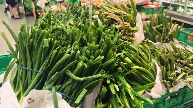 During the Calcotada festival, the farm shop offers fresh calcots. Traditional Catalan green onions are neatly displayed on the shelves, highlighting local organic produce and celebrating this beloved