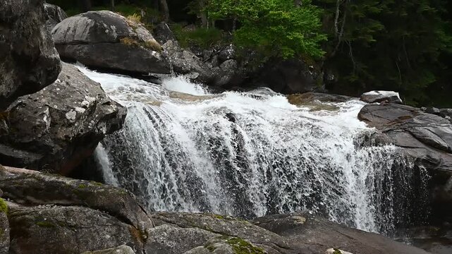 waterfall in the forest