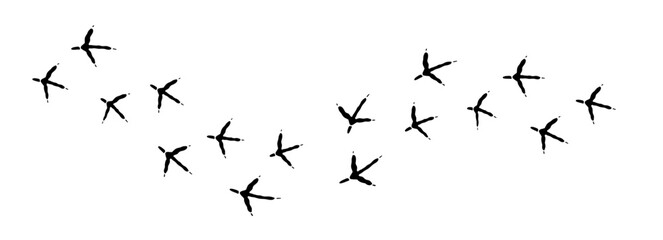 Naklejka premium Hand Drawn Bird Footprint Silhouette Set