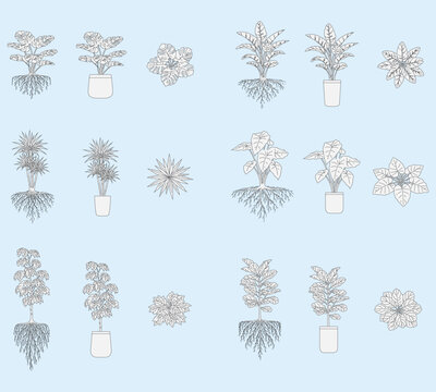 Architectural plant set, trees, house plants with roots and in pots, top view, front view, indoor and potted vegetation for plans, botanical plants, blueprint, editable stroke, vector