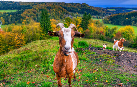 Blick auf die Ortschaft Gundelfingen im Gro&szlig;en Lautertal im UNESCO Global-Geo-Park Schw&auml;bische Alb in Baden-W&uuml;rttemberg, Deutschland, Europa.