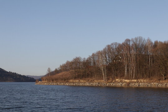 Lake shoreline with leafless trees in warm evening light
