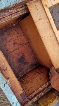 Beekeeper meticulously examines a bee hive in winter, skillfully placing frames back after assessing activity and honey reserves, prioritizing colony well-being and survival during the cold season
