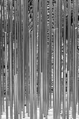 Obraz premium rury ze stali nierdzewnej ustawione pionowo, dekoracja ze stalowych rur w ogrodzie, group of stainless steel pipes arranged vertically like garden sculptures