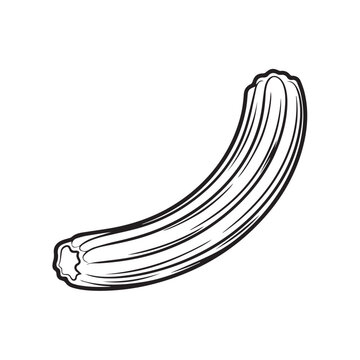 Single Churro with Crisp Texture Isolated on White Background Line Art Style