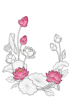 Elegant floral wreath composed of roses and delicate greenery in a classic design isolated on transparent background