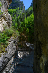 Obraz premium Narrow Canyon Trail with Metal Walkway and Lush Greenery